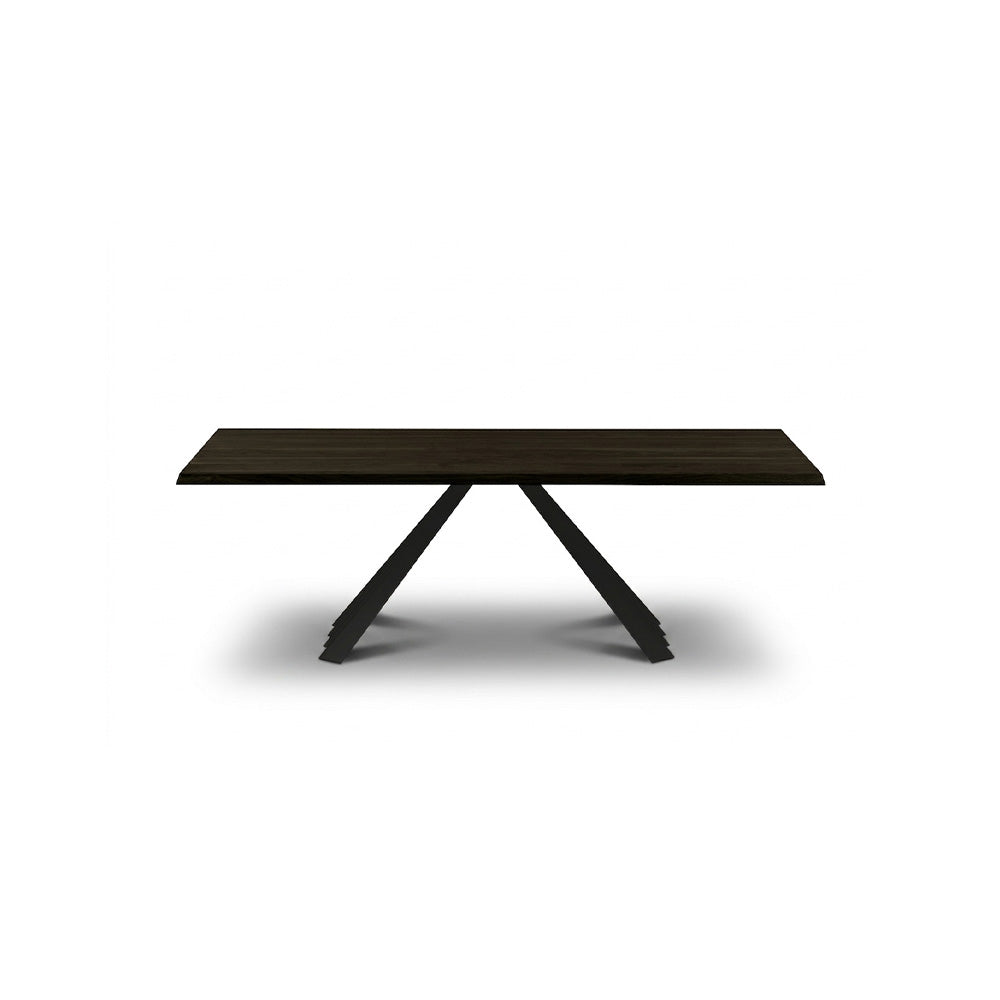Fixed Ventaglio